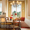 Brightever 4-Pack Vintage LED Edison Bulbs 60W Equivalent, 6W ST58