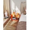 solaround solaround Acrylic Nightstand Colorful Bedside Table with Open Storage
