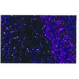 RED HEART Boutique Sashay Metallic Yarn, Amethyst