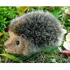 Kosen Hedgehog 12cm