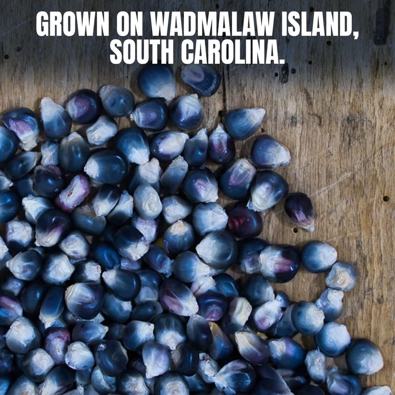 Marsh Hen Mill Indigo Popcorn Kernels | Vibrant Blue Kernels