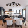 SEEBLEN 5-Light Track Lighting Kit, Directional Ceiling Light, Industrial Black