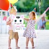 Cat Pinata Cat Birthday Party Supplies Kitty Cat Pinatas with