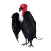 BirdBusters Dead Vulture Effigy 18 inch Tall, Deters Turkey &