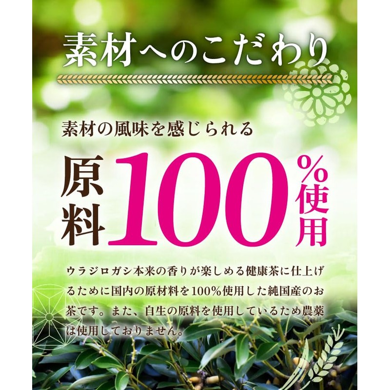 Tea no Daifukuen Tea White Tea Made in Japan, Decaffeinated