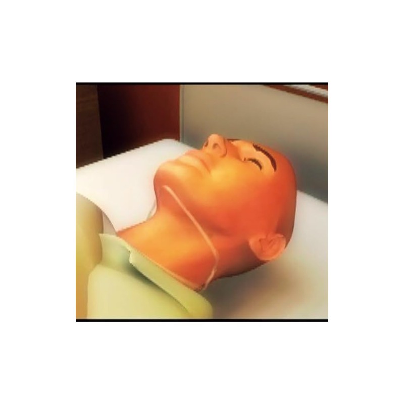 NorMors Chin Color 10 Koiri Matsuyoshi Medical Instrument (M)