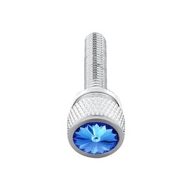 UNITED PACIFIC 23816 Dash Panel Screw, Dash Screw, Long, with Blue Diamond, for Kenworth