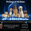 Bark Collar, 2 Pack Smart Dog Bark Collar for Large