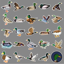 50PCS Flying Mallard Duck Stickers,Duck Stickers,Teens Boys and Girls Sticker Pack Vinyl Skateboard Guitar Door Laptop Luggage Car Bike Water Bottle Birthday Party Supplies Stickers