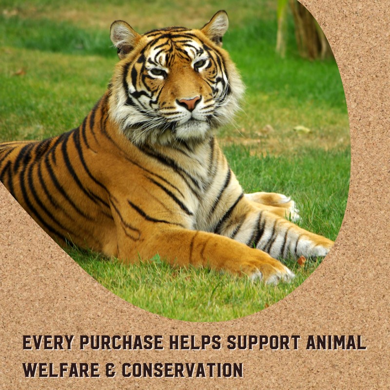 Power Chai Matcha Tea Latte Mix, 48 Oz, Japanese Matcha,