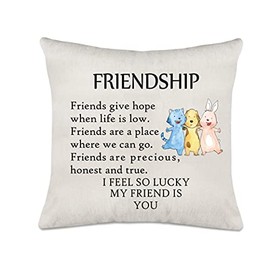 Axmosto Friendship Cushion Cover Gifts, I Feel so Lucky My Friend is You, Lovely Office Home Decor Cushion Pillow Cover for Best Friends, 45_x 45_cm, axmosto-017