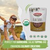 Sunbest Natural Organic Flax Seeds 32 oz (2 LB) -