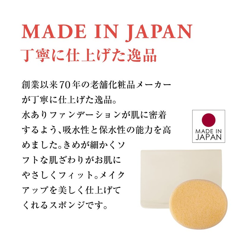 Foundation Sponge with Water for Summer Cake (Portable Case Included,