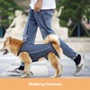 Dog Lift Harness for Senior & Injured Dogs – Full
