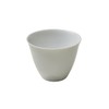 Spacious Space Harumi Kurihara Free Cup White K23S01316401