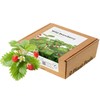 Click and Grow Smart Garden Wild Strawberry Plant Pods, 9-Pack