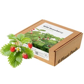 Click and Grow Smart Garden Wild Strawberry Plant Pods, 9-Pack
