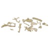 Toyland® T-Rex Skull Dig Kit - Display Stand Included -