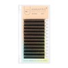 ANNAFRIS Eyelash Extension 2Tips 3D WW Lash Extension 0.07 C