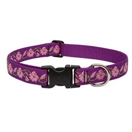 LupinePet Originals 1" Rose Garden 12-20" Adjustable Collar for Medium and Larger Dogs