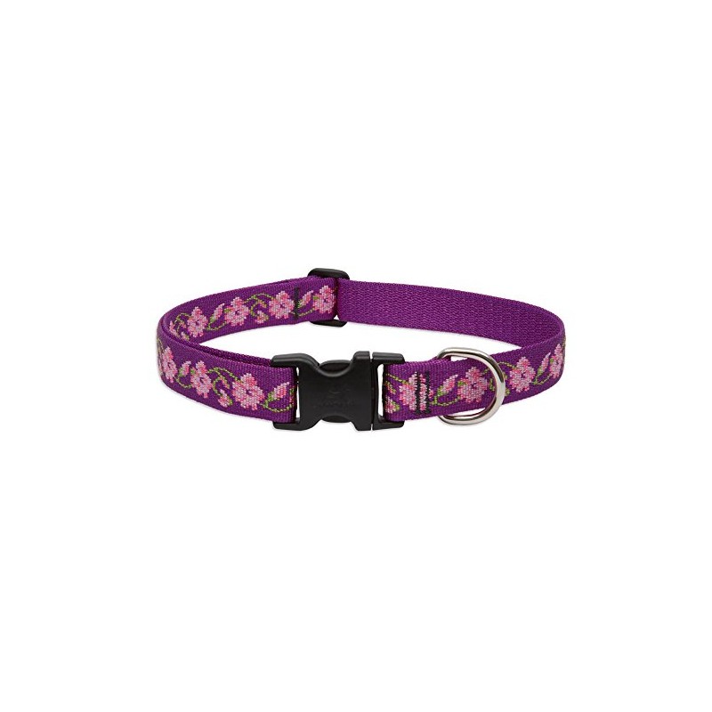 LupinePet Originals 1" Rose Garden 12-20" Adjustable Collar for Medium