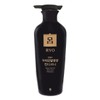Ryeo Jinseobo 려 진생보 두피모발영양 컨디셔너 400ml Rye Jin Saeng Bo Scalp Hair Nutrition Conditioner 400ml
