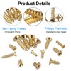 FandWay 1200Pcs M2 M2.5 M3 Phillips Flat Head Self-Tapping Screws,