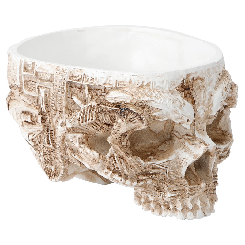 Innovative Resin Skull shaped Flower Pot Succulent Planter Holder Ornament