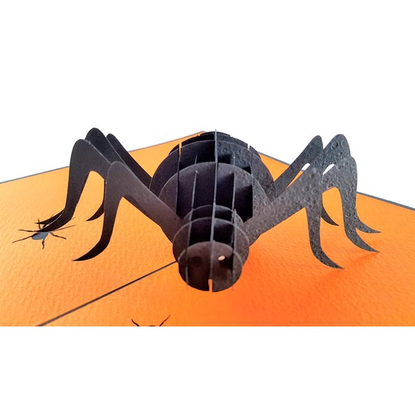 iGifts And Cards Halloween Scary Black Spider 3D Pop Up Greeting Card - Creepy, Fun, Half-Fold, Special Occasion, Trick or Treat, Kid, Unique, Haunted House, Magic, Awesome, Happy, Bug, Spooky, Web