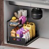 GROWSUN Under Sink Organizers and Storage 2 Tier Slide Out