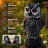 Owl Decoy for Garden Bird Deterrent – Plastic Rotating Head