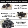 Shungite Elite Noble Raw Shungite Rocks Gemstones | Water Purification