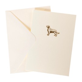 Graphique Golden Retriever Cards, Pack of 10 Cards with Envelopes, All Occasion Greetings, Blank Inside, Gold Foil Embossing, La Petite Press Collection Boxed Set, 3.25" x 4.75"