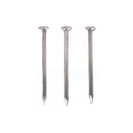 cSeao 50pcs 2.8mm Diameter 100mm / 4 Inches Flat Head Nails for Picture Wall Hanging, Common Nails, Wood Nails
