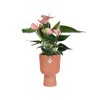 Elho Flower Pot, Plastic Regenerated polypropylene, Delicate Pink, ⌀ 13,9