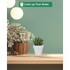 vensovo 48 Pcs Tiny White Ceramic Plant Pot - 2