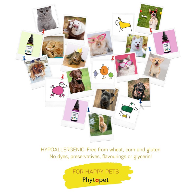 Phytopet Boost | 30ml | 100% Natural Herbal Remedy |