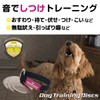 Fantasy World TDX-5SS Dog Training Disc