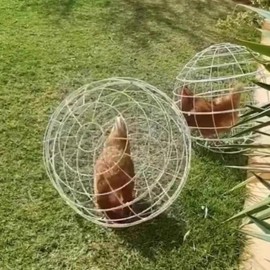 Chicken Ball | Movable Chicken Coop Ball - Round Walking Net Poultry Coop Safety Chick Enclosure for Outdoor, Rabbits & Ducks