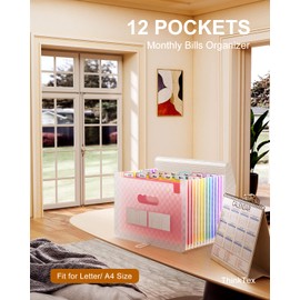 ThinkTex Accordian Aktenordner, 12 Fächer, erweiterbare Aktenordner, tragbarer monatlicher Rechnungsbeleg-Organizer, bunte Registerkarten, A4-Größe – Pink