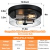Flush Mount Ceiling Light Fixtures, 2-Light Black and Silver Ceiling