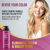 Jenoris Silver Shampoo Anti Yellow 500 ml by JENORIS