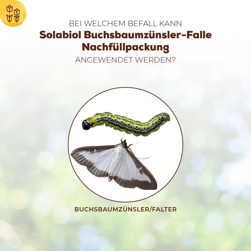 Solabiol Boxwood Moth Trap Refill Pack for Filling Solabiol Boxwood