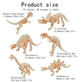 Lqucwepp 36PCS Dinosaur Fossil Skeleton,Figures Dino Bones for Dino Sand Dig,Science Play,Party Decorations