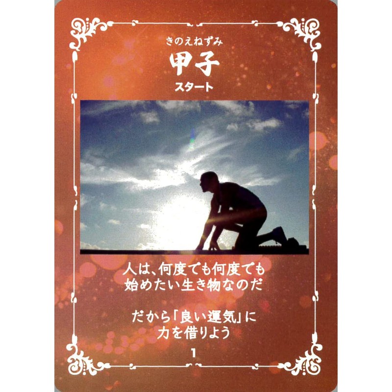 zodiac oracle card vol.2