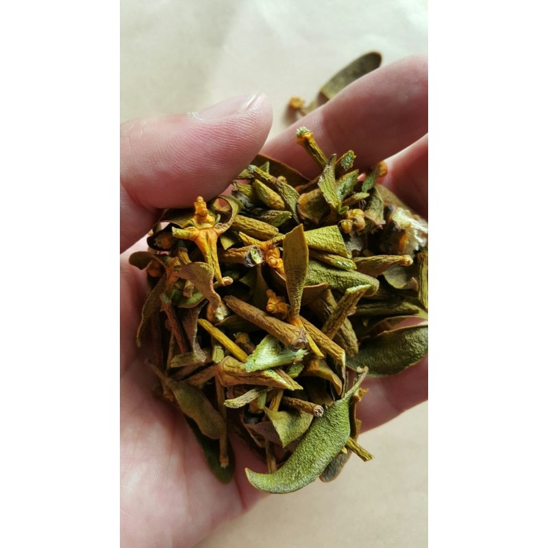 Oak mistletoe 150g Gyeongbuk Yeongju natural mistletoe 150g / 참나무