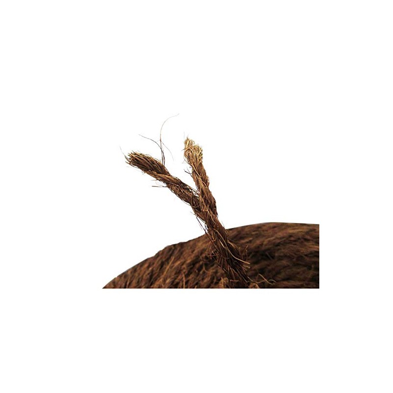 Natural Shuro Rope, 2-Piece Tea, 0.1 inch (3 mm) x