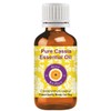 Deve Herbes Pure Cassia Essential Oil (Cinnamomum cassia) Natural Therapeutic
