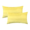 Jeneoo Set of 2 Comfy Soft Velvet Lumbar Throw Pillow