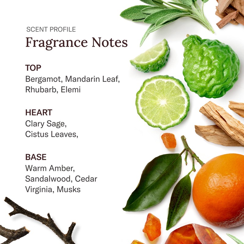 Scent Beauty - Stetson Personal Care - Deep Moisture For